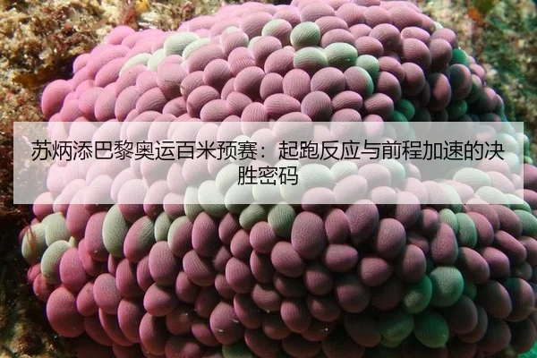 su-bing-tian-ba-li-ao-yun-bai-mi-yu-sai-qi-pao-fan-ying-yu-qian-cheng-jia-su-de-jue-sheng-mi-ma-2-734.jpg