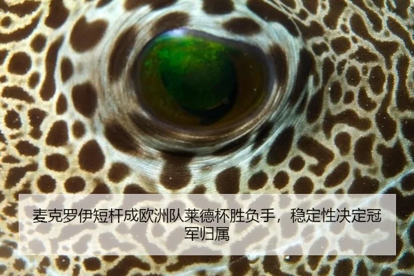 mai-ke-luo-yi-duan-gan-cheng-ou-zhou-dui-lai-de-bei-sheng-fu-shou-wen-ding-xing-jue-ding-guan-jun-gui-shu-3-355.jpg