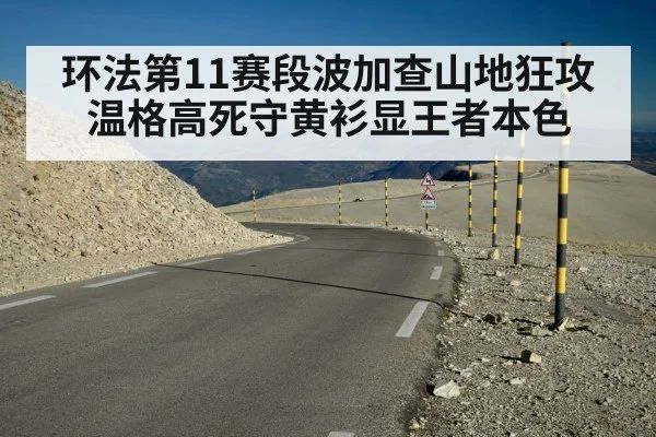 环法第11赛段波加查山地狂攻 温格高死守黄衫显王者本色